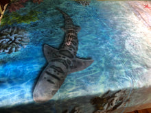 Load image into Gallery viewer, Bespoke Hand Made Luxury - Hawaiian Coral Reef