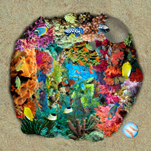 Load image into Gallery viewer, Hawaiian Coral Reefs and Wave Included